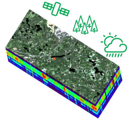About – Forest DTC – part of the ESA Digital Twin Earth programme