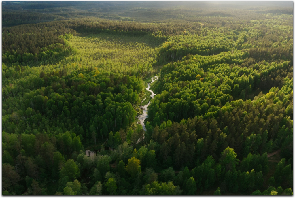 About – Forest DTC – part of the ESA Digital Twin Earth programme